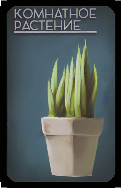 комнатное растение
