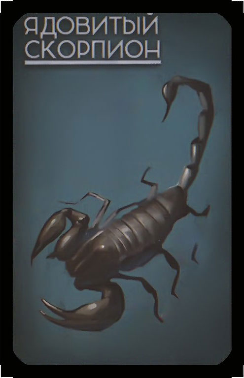 ядовитый скорпион